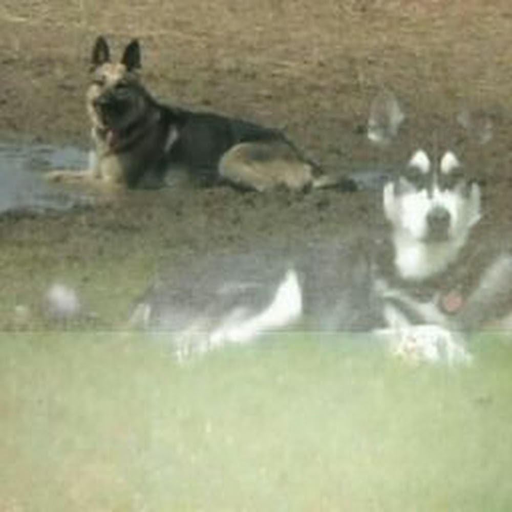 Meet your Posher, Ramona snowflake